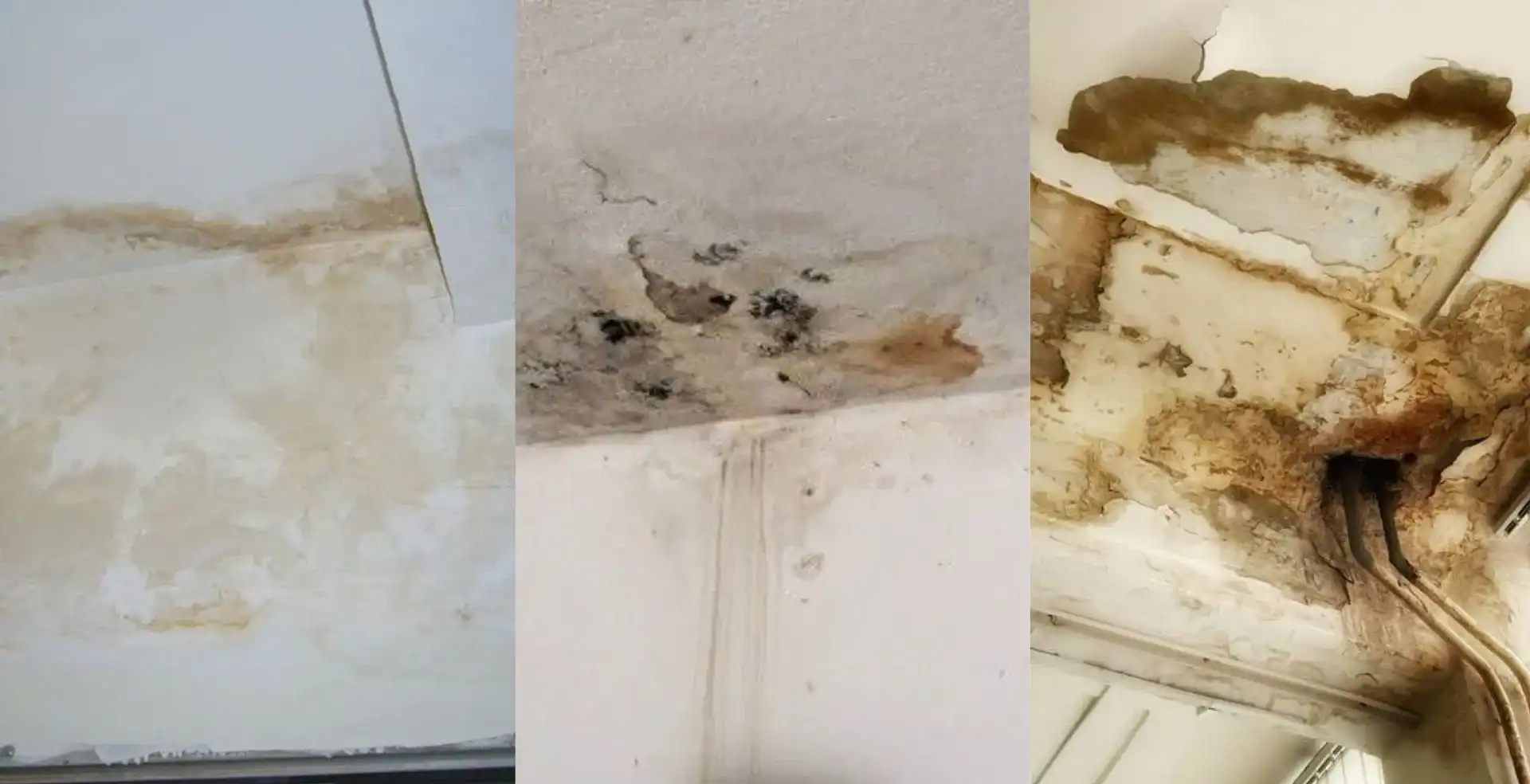 Phân tích nguyên nhân nhà vệ sinh bị thấm dột và giải pháp chống thấm